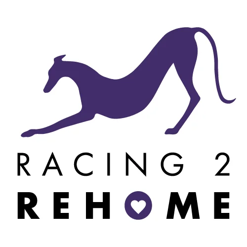 Racing 2 Rehome